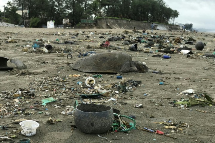 Des tortues prises dans une marée géante de plastiques